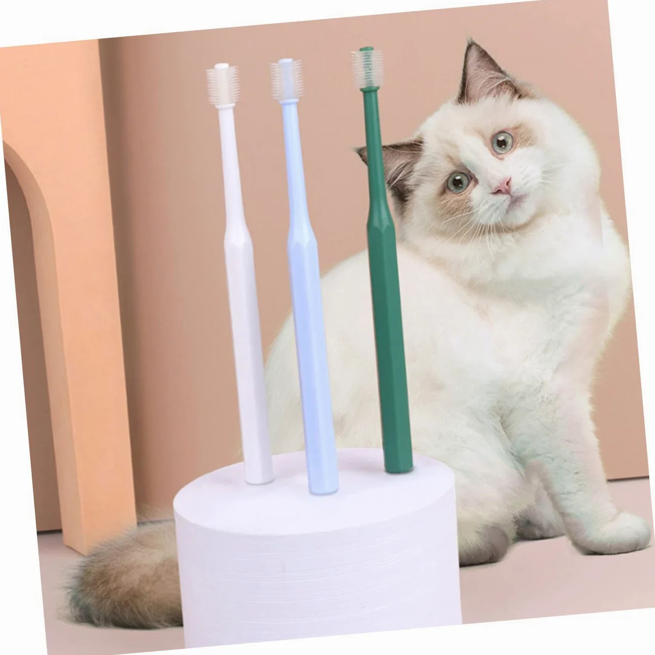 Housoutil 12 Pièces brosse à dents kit de nettoyage des dents d'animaux dents de chiot tartre fournitures de soins infirmiers brosses à dents poids léger Provisions voyage type