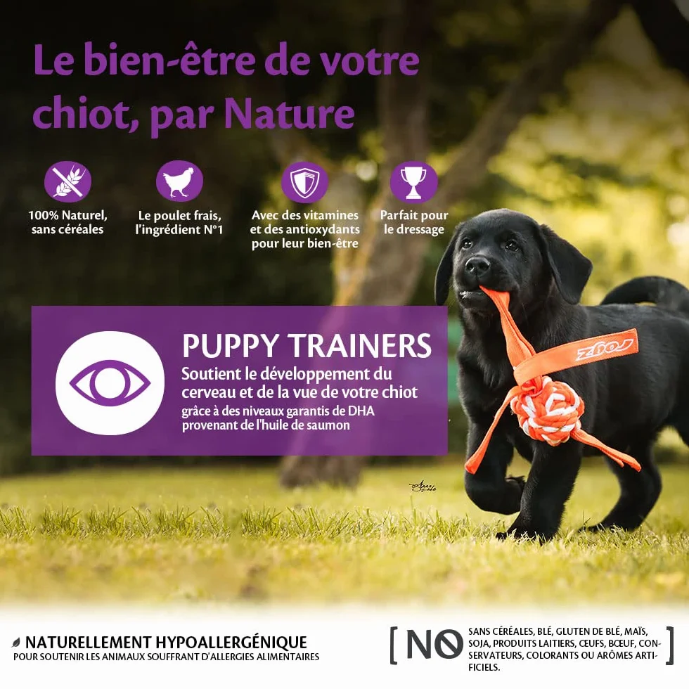 Wellness CORE Friandises pour Chiots Poulet/Carottes 170g sans Céréales Riche en Protéines