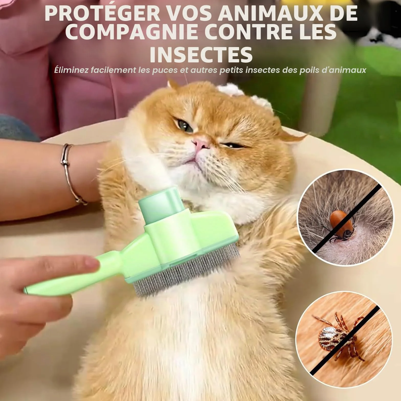 Brosse autonettoyante pour animaux de compagnie - Peigne à puces pour chat et poils longs/courts - Vert